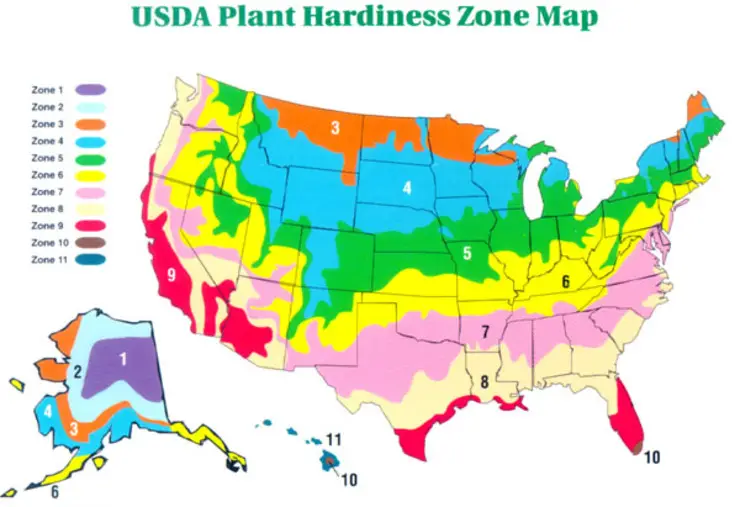 climate growing usda zone (1)