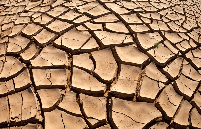Global Warming Affect The Desert