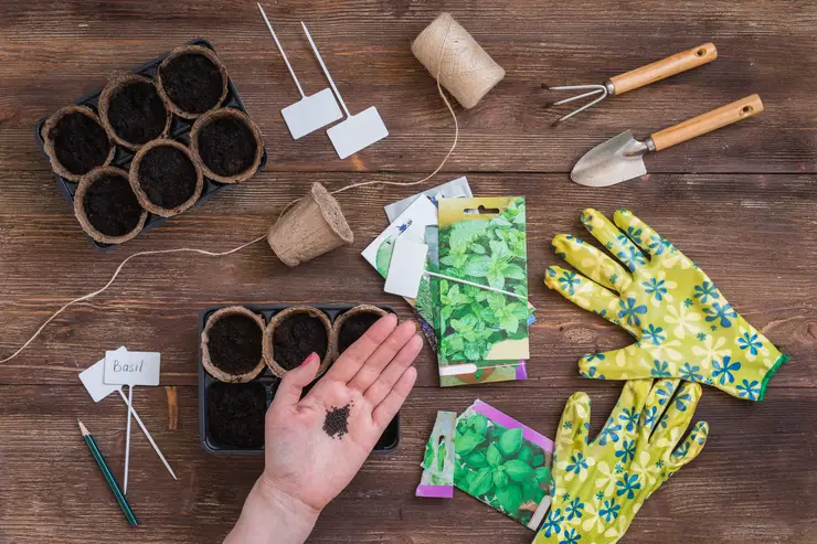 stages of planting seeds, preparation, gardeners tools and utensils, colorful gloves, organic pots