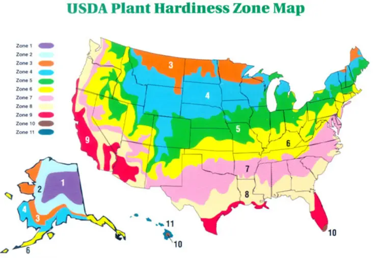 What Planting Zone Is Austin Texas Find Here 5338