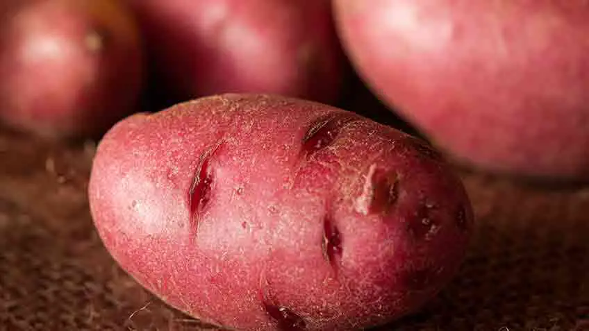 fingerling (waxy) potato