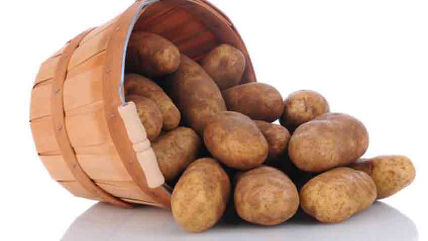 russet potatoes